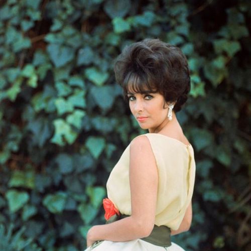 Elizabeth Taylor photographed by Mark Shaw