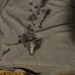 badlydrawnhero-deactivated20210:Good uses for old shirts 