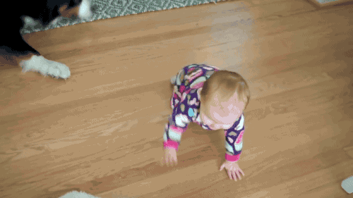 gifsboom:Dog is a Jerk to a Baby. [video] [Kyoot Kids]