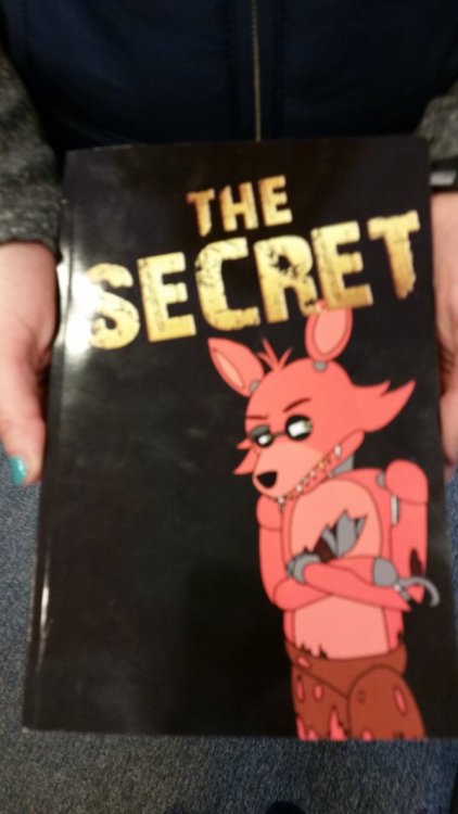 beesmygod: hello. today at barnes and nobel my sister and i found an authorless, self published fnaf