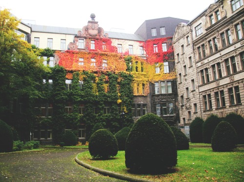 kaufhaus des westens