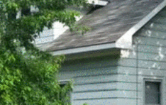 mastergifs:  Taco High Five!