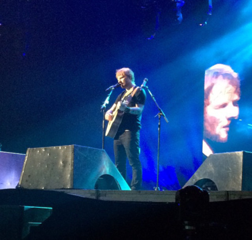 teamsheeranbra:  Ed Sheeran - Montreal 02/06 