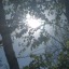 luminareal