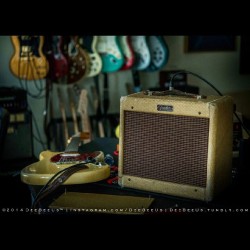 Deebeeus:  Another Lazy Evening With My Best Friends. :D &Amp;Lsquo;66 #Fender #Musicmaster