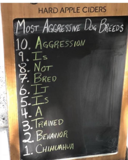 babyanimalgifs:No aggressive dogs just bad