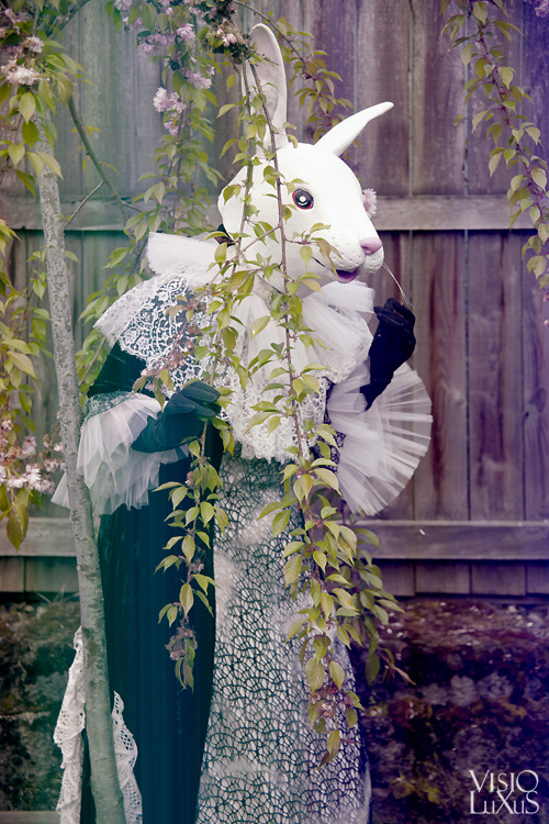 kambriel:  visioluxus:  Fancy Rabbit  Fashion and rabbiting by kambriel​  C’est moi! Hopping around 