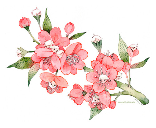 txfeline720:maruti-bitamin:blossoms [ID: A digital artwork of a branch with pink blossoms. At the ce