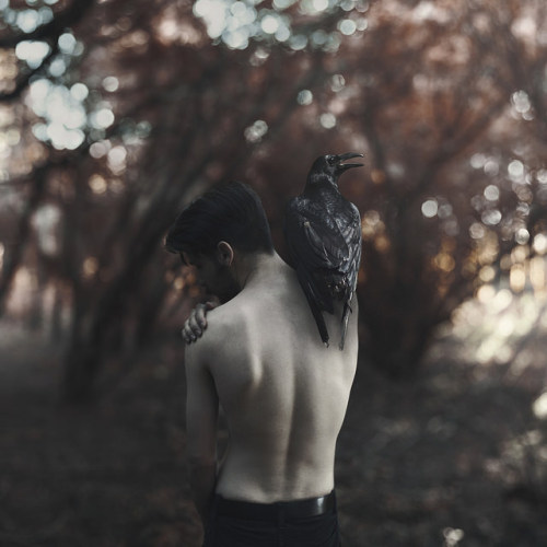 prosternacoes:Nevermore by Tyler Rayburn on Flickr.
