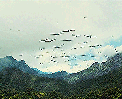 jaiquanda:  jurassicparkfilms:Jurassic World (2015)SNATCH THAT BITCH PTERODACTYL