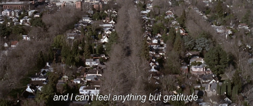 luxex:American Beauty (1999)This is how I feel