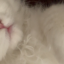 thesweetestworldoflay