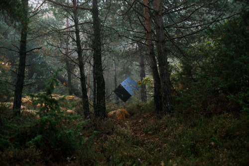 byzantienne:nevver:Dead zone, Julien CoquentinTHE CUBE GOES ON VACATIONTHE CUBE GOES HIKINGTHERE ARE