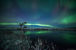 taarik7:  The light is green on the other side by Friðþjófur M. on Flickr. 