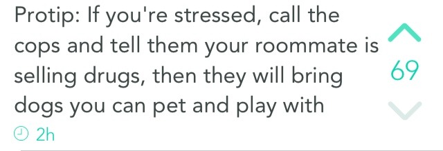 dannydino11:Just a friendly tip (: