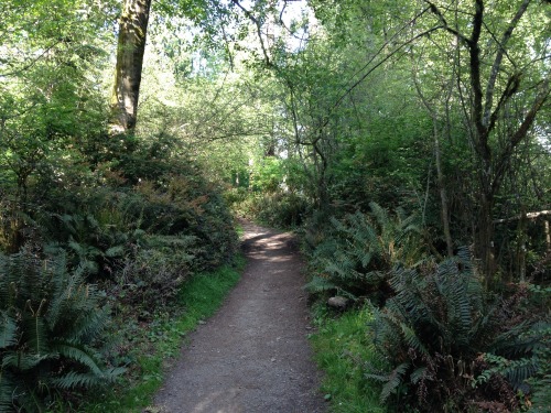 floweringplants: point defiance park // may 1st 2014