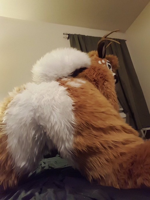 Remember @FursuitButts over on Twitter?Well, they MADE A TUMBLR BLOG!!!***CLICK HERE AND FOLLOW THEI