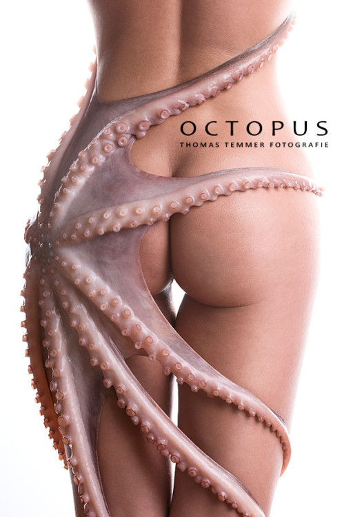 nicenudephotos:  OCTOPUS by ThomasTemmerFotografie