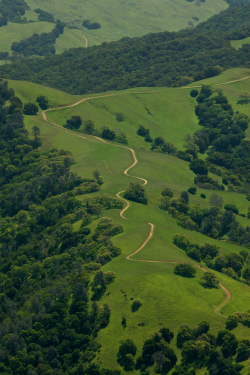 expressions-of-nature:  Mt. Diablo, California : Greg Hughes