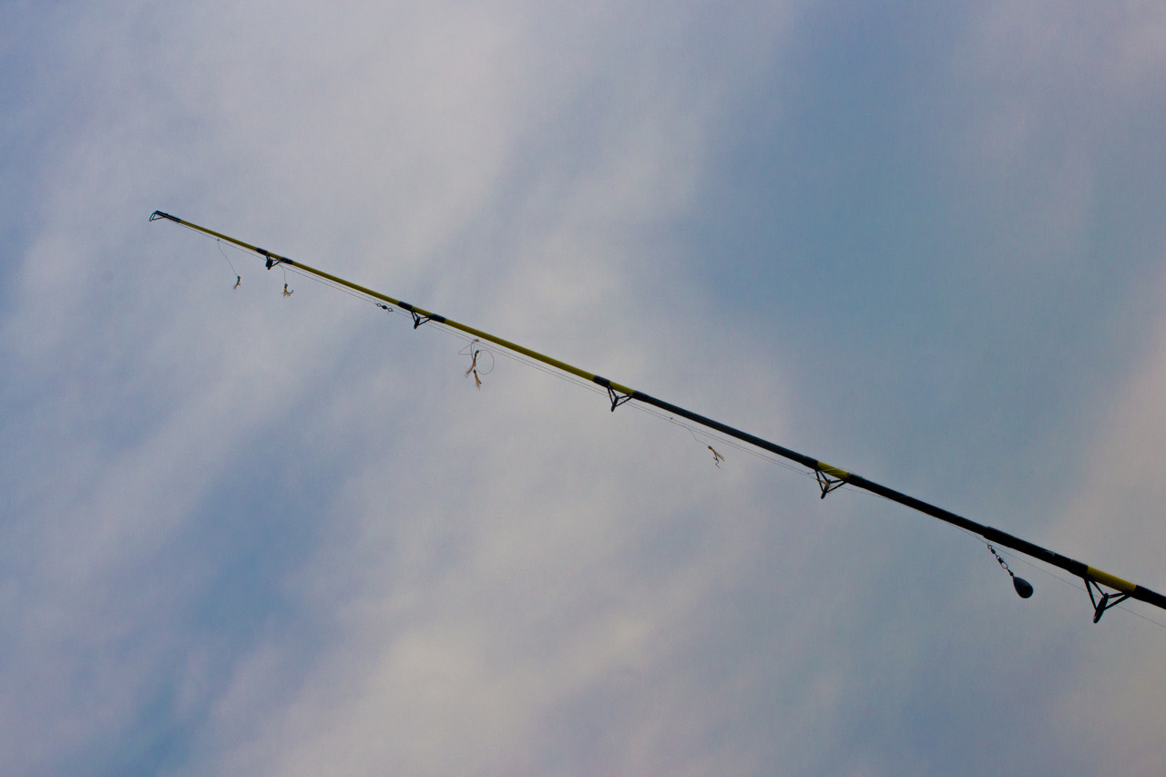 Tumblr Photo