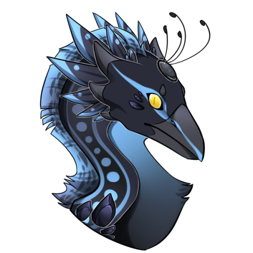 anemia-fr:Asterion and Umbra’s nest hatched today! they’re 250kt each on the auction house, but you’