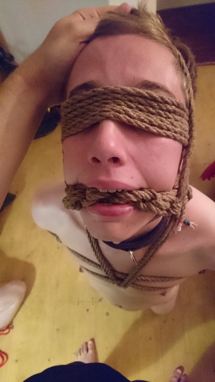 pupnovy:  A little while ago I got to tie up the totally adorable @woofwoofoinkoink    He looks so grumpy in just the chest harness, but it seems the gag and blindfold sorted that out… 