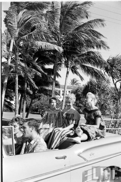 Mainland students taking summer school courses at the University of Hawaii(Ralph Crane. 1959)