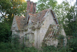 odditiesoflife:   A House In the Woods  “I