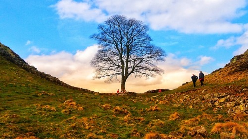 Sycamore Gap at Hadrian’s Wall, 14.4.18.