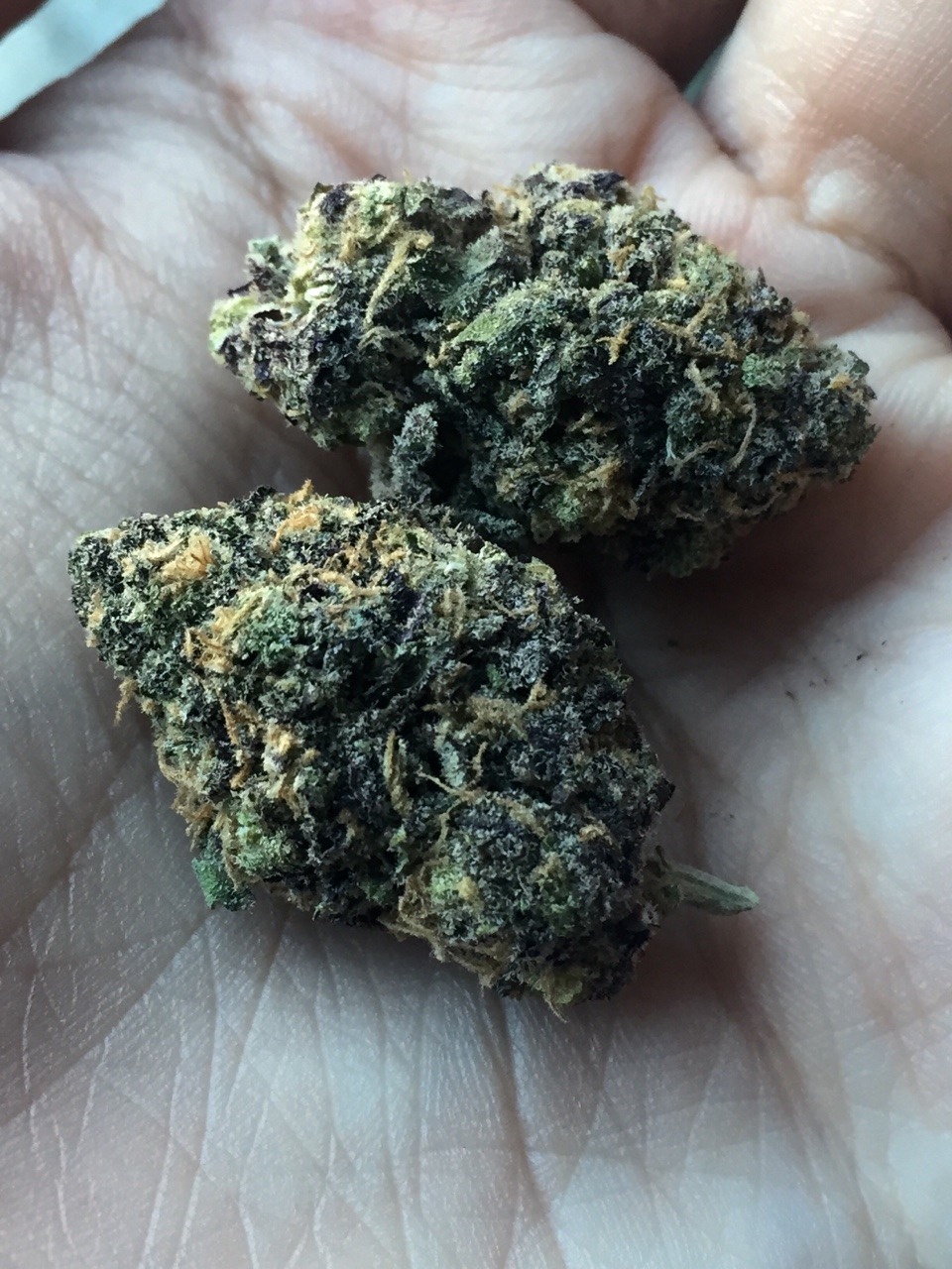 awakeningavalon:  Double Dream Silver Dream Haze Purple Kush 