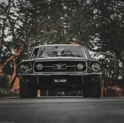 johnnyblaze64: