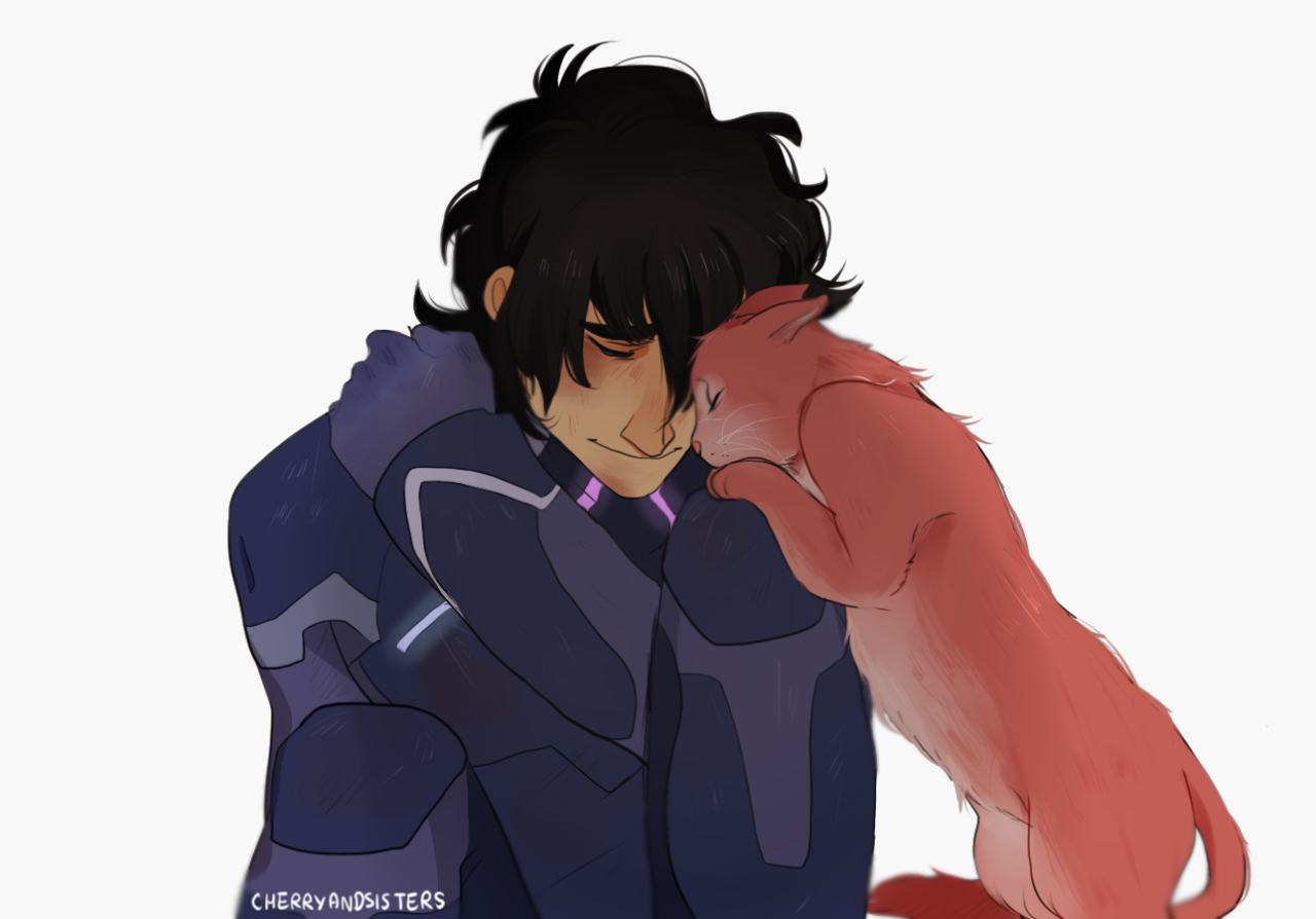 cherryandsisters:  “stay tf away from me” to “touch this human and i will