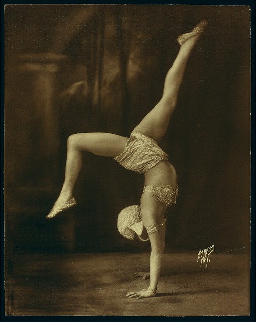 Contortionist