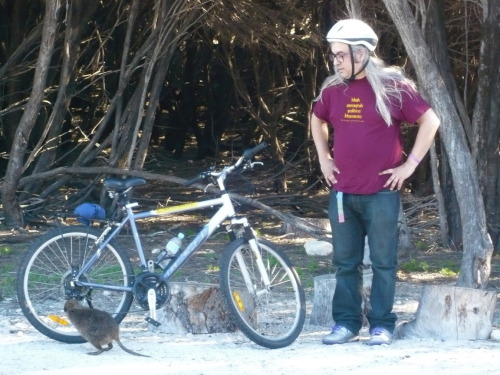 grave-dweeb:  This is it. This is the best photo of J Mascis.