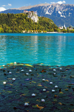 Cornersoftheworld:  Lake Bled, Slovenia | By Nomadic Vision Photography