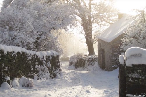 pagewoman:Cottage in Blawith, Cumbria, Englandby Josie Baxter