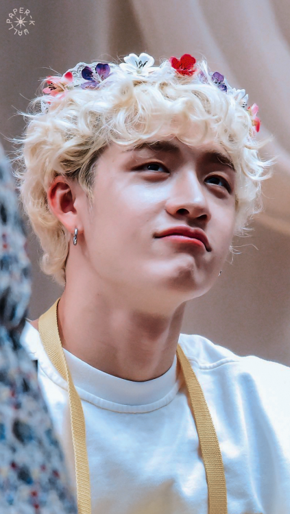 『BANG CHAN』saved? reblog or like© fantaken owners