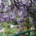 etherea1ity:Monet’s garden ( via )