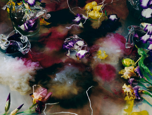 asylum-art:  Margriet Smulder Margriet Smulders’ intoxicating and smouldering flowers represent contradictions between the mind and the body, between science and intuítion, between dark and light, nirwana and  samsara, modesty and voluptousness maybe