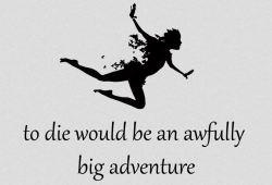 socotic:  to die would be an awfully big adventure.. 