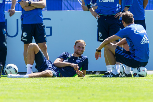 benedikt höwedes