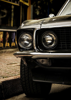 Just The Coolest Mustangs