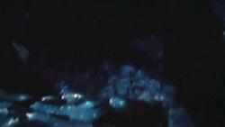 solohux-main: why didn‘t you do more?