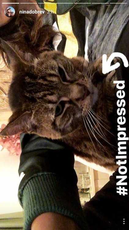 ninadobrevnews: Screens of Nina Dobrev’s Instagram story my gorgeous nina.
