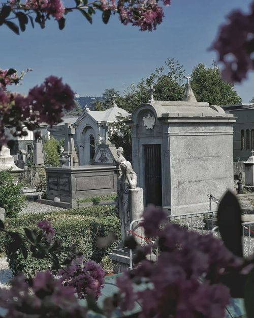  #cimitero #tombe #graveyard #grave #graves #photooftheday #photo #photography #cemetery #tombstones