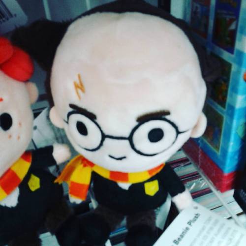 Harry Potter and the Later Years. #harrypotter #softtoy #danielradcliffe