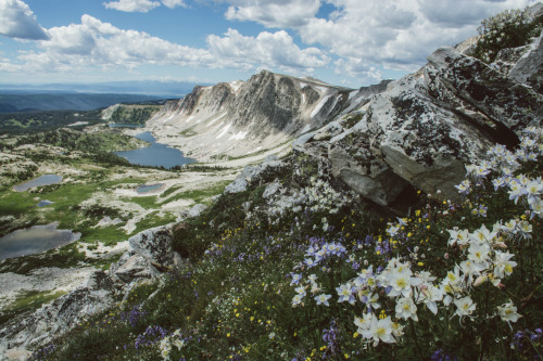 expressions-of-nature - by Nancy KingMedicine Bow Peak, Wyoming