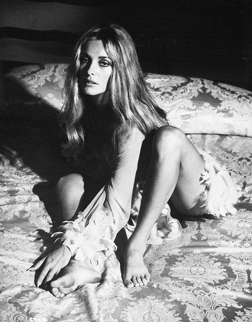 lovesharontate:  Sharon Tate in a promotional photo for The Wrecking Crew (1968)