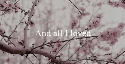 From The Same Source I Have Not Taken My Sorrow I Could Not Awaken My Heart To Joy At The Same Tone