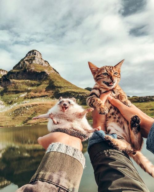 Sex crossconnectmag:  The World’s Cutest Adventurers pictures